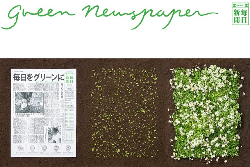 Green Newspaper 
