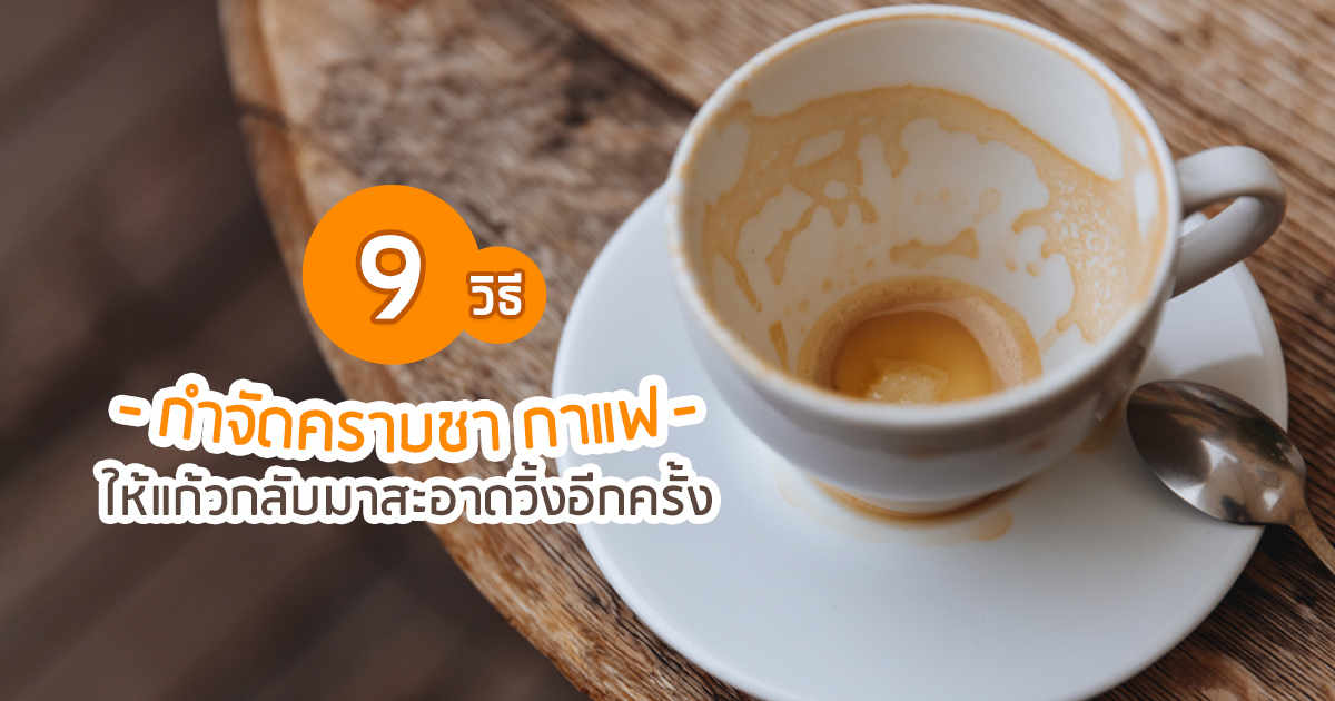 9 วิธีกำจัดคราบชา กาแฟ ให้แก้วกลับมาสะอาดวิ้งอีกครั้ง